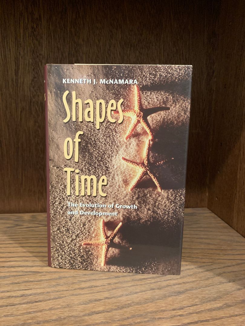 Shapes of Time