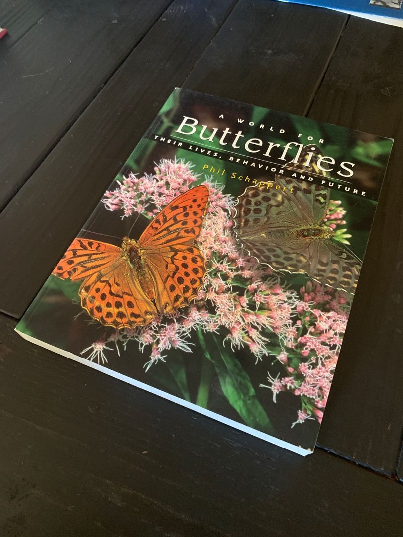 A World for Butterflies