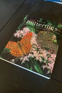 A World for Butterflies