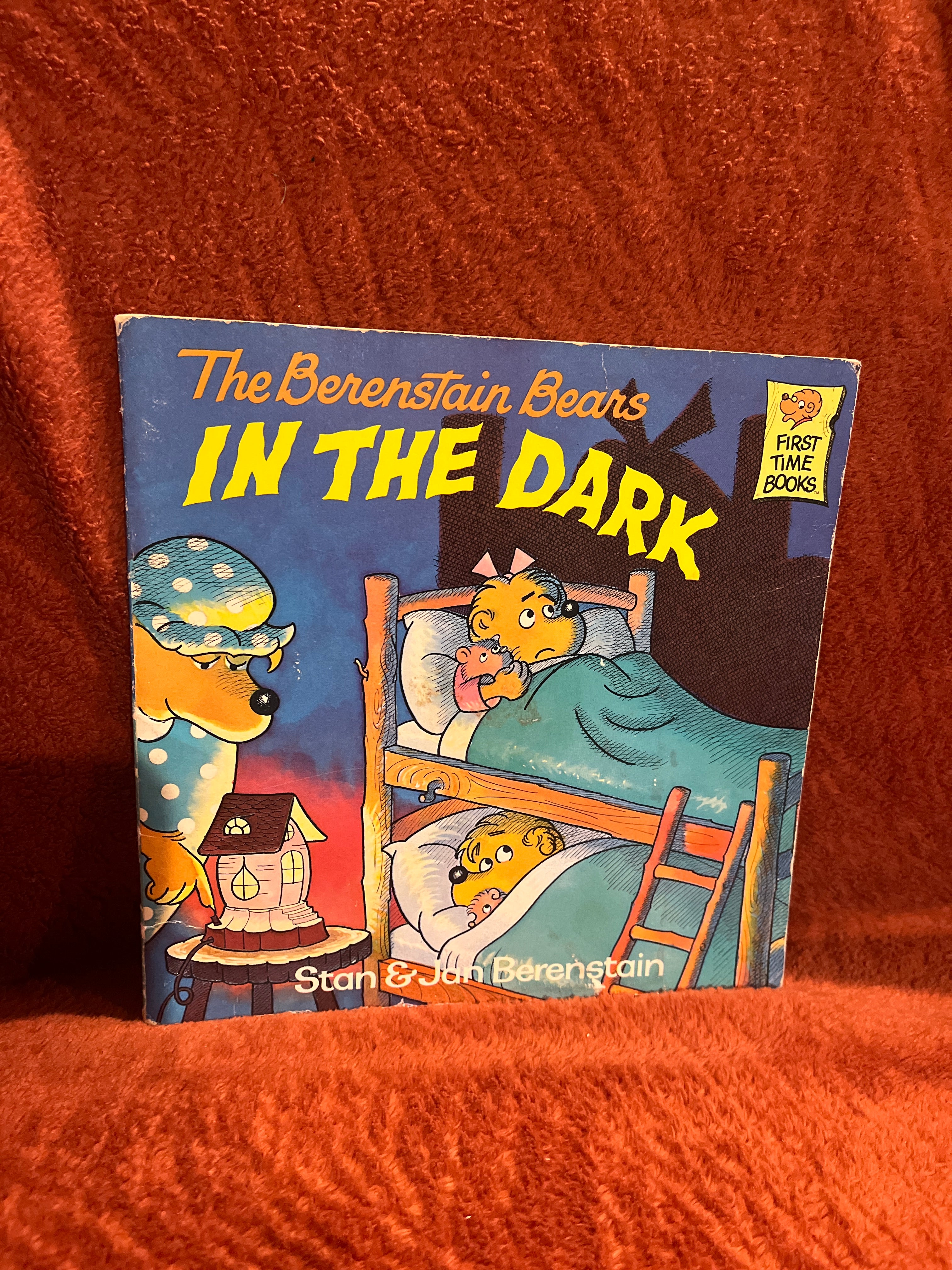 The Berenstain Bears in the Dark