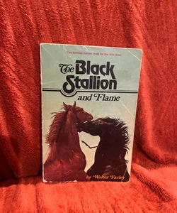 The black stallion and flame 