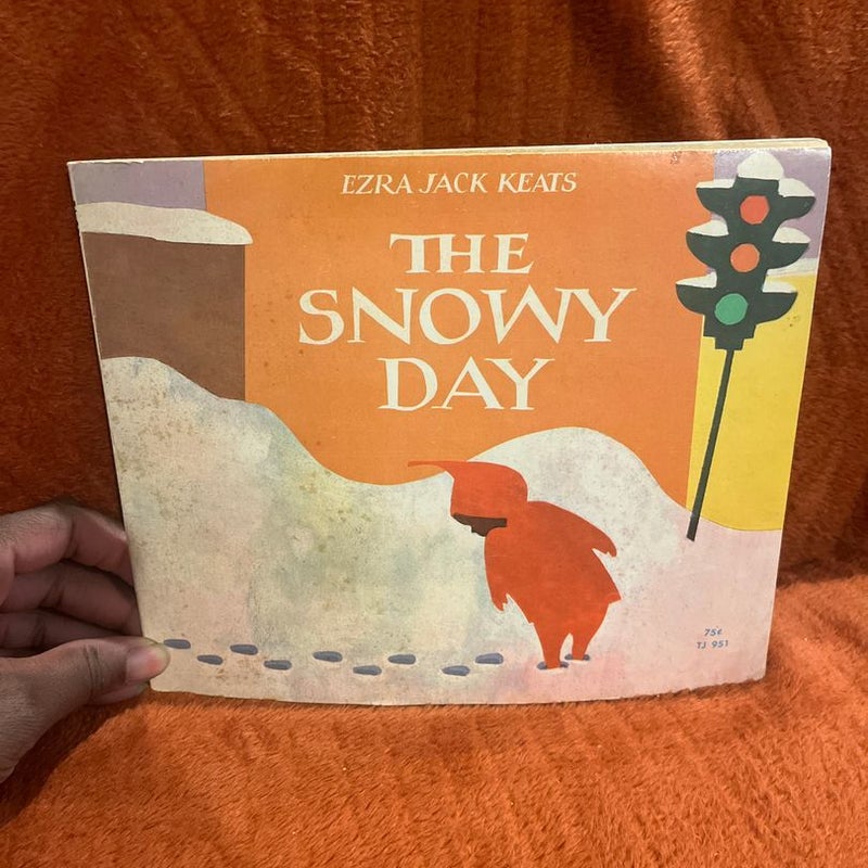 The snowy day 