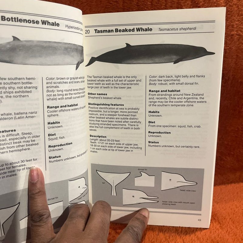 The Whale-Watcher's Handbook