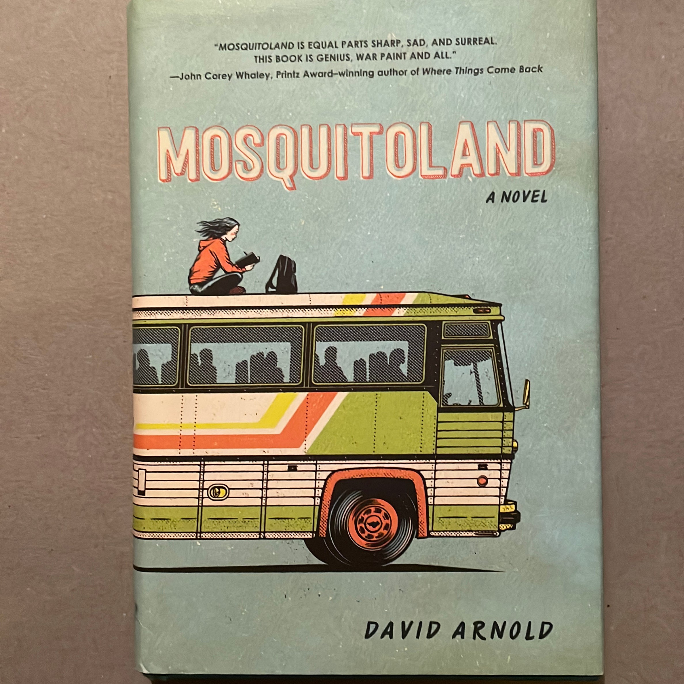 Mosquitoland