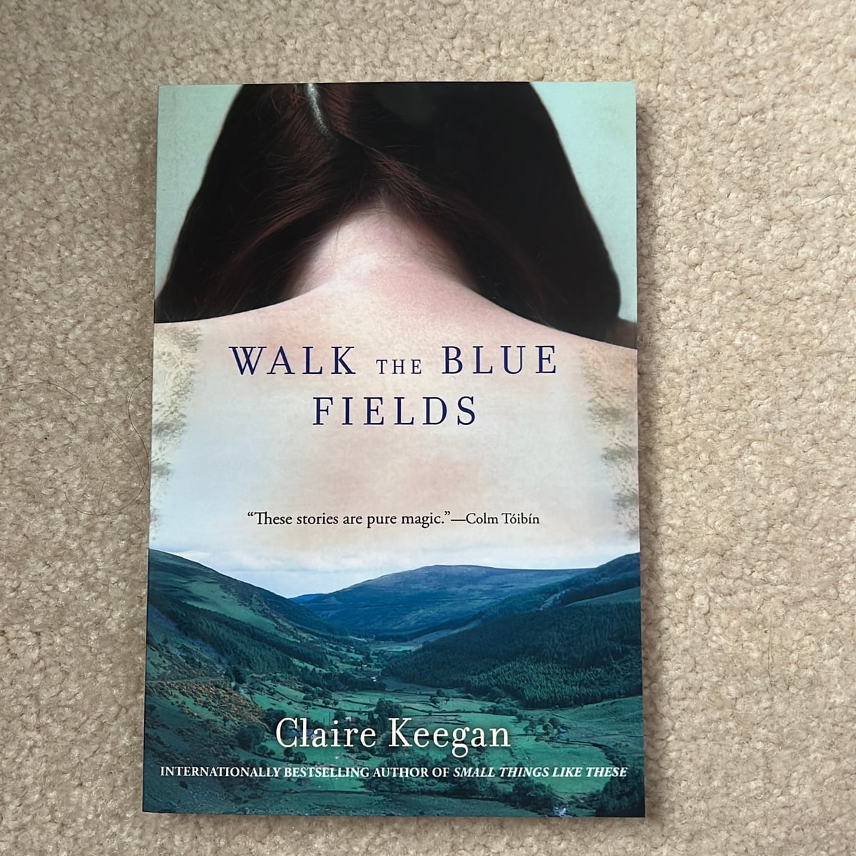 Walk the Blue Fields by Claire Keegan