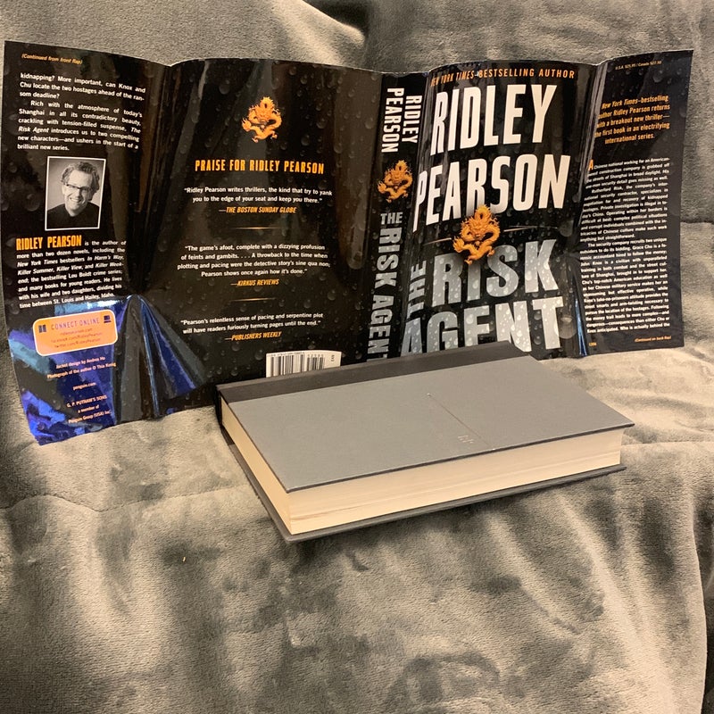 The Risk Agent