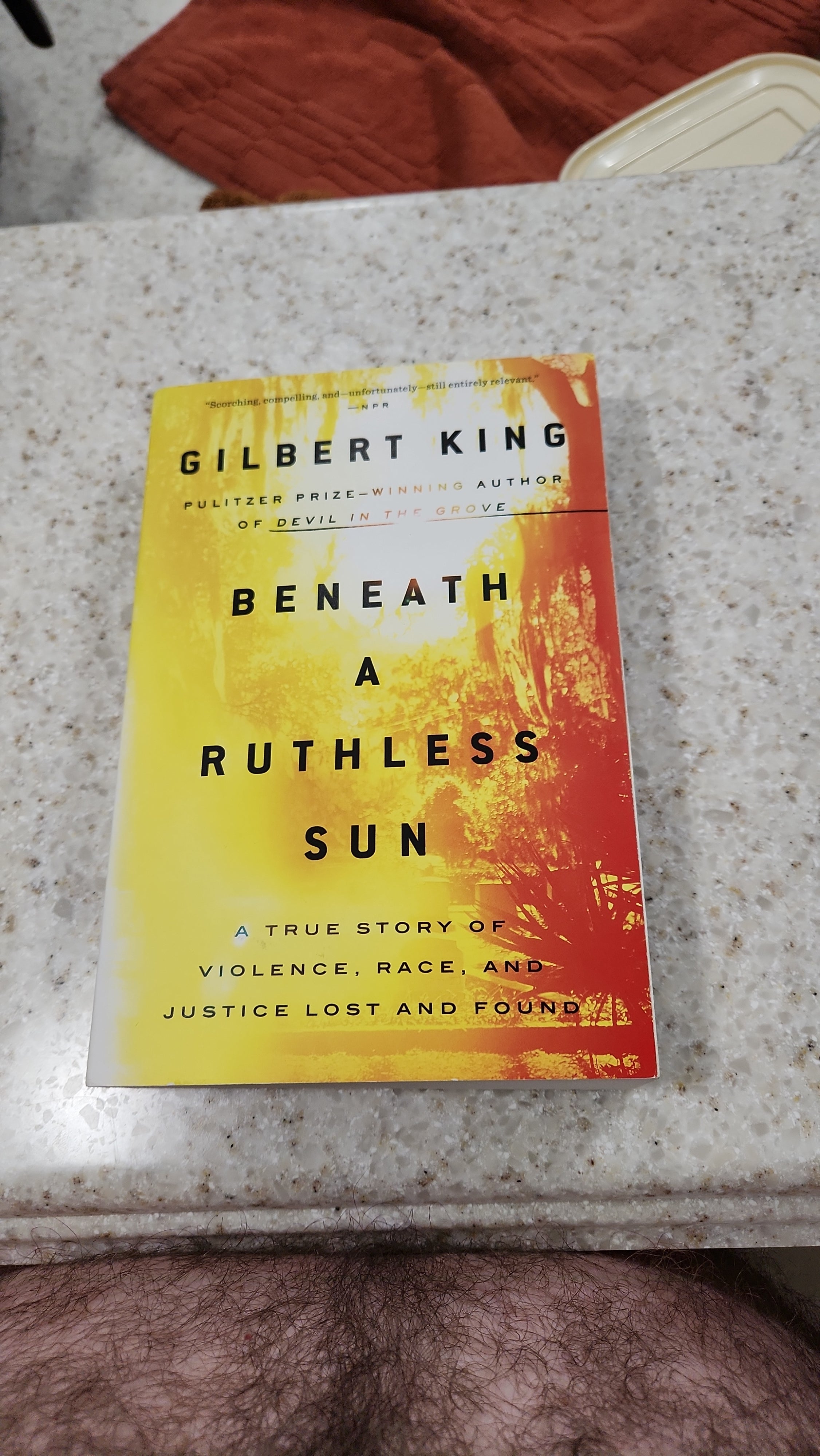 Beneath a Ruthless Sun