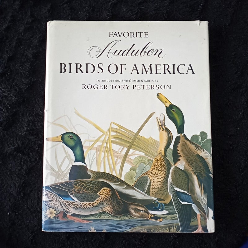 102 Favorite Audubon Birds of America