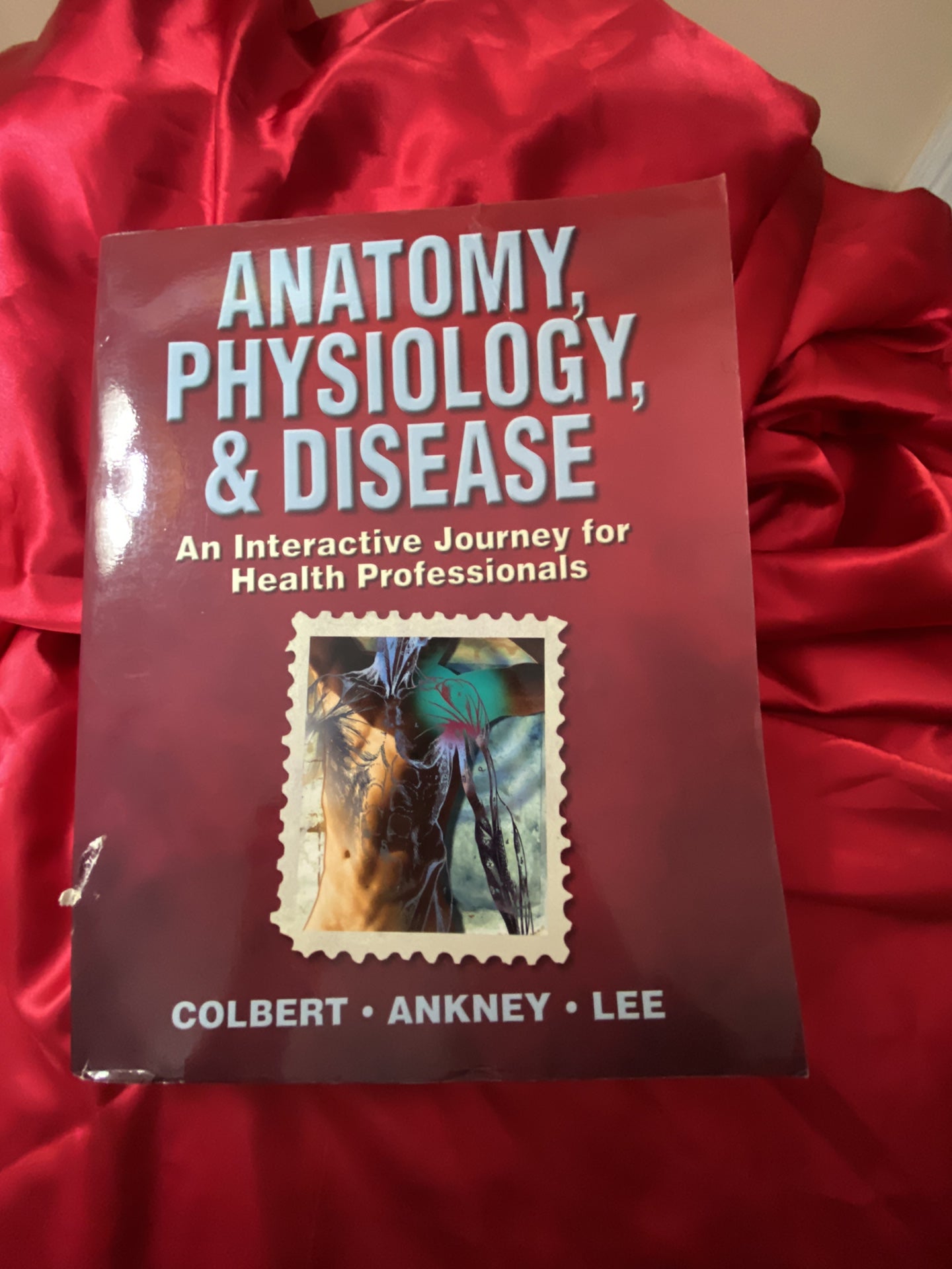 Anatomy, Physiology, and Disease