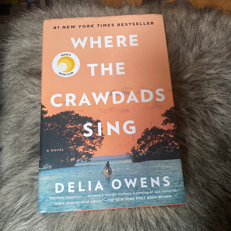 Where the Crawdads Sing