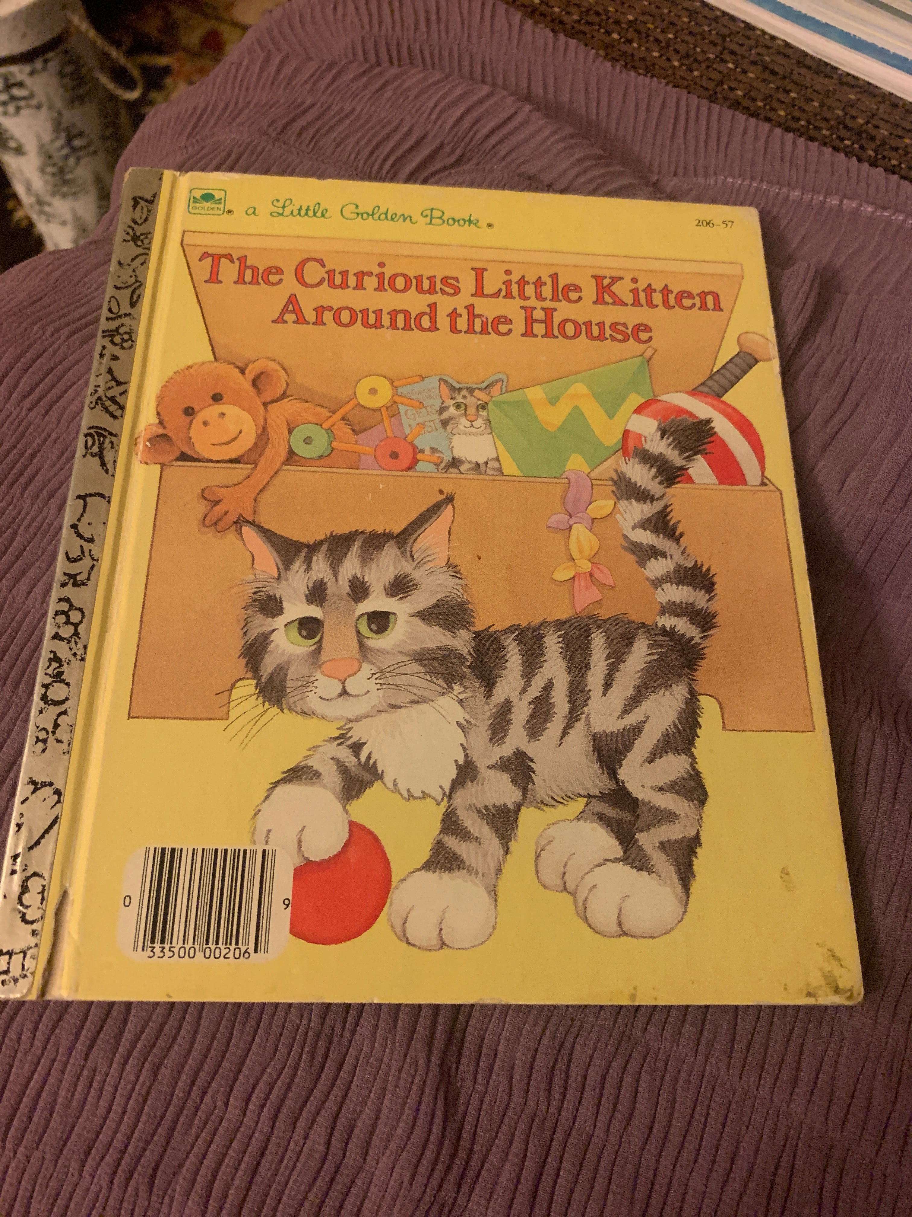 The Curious Little Kitten Around the House