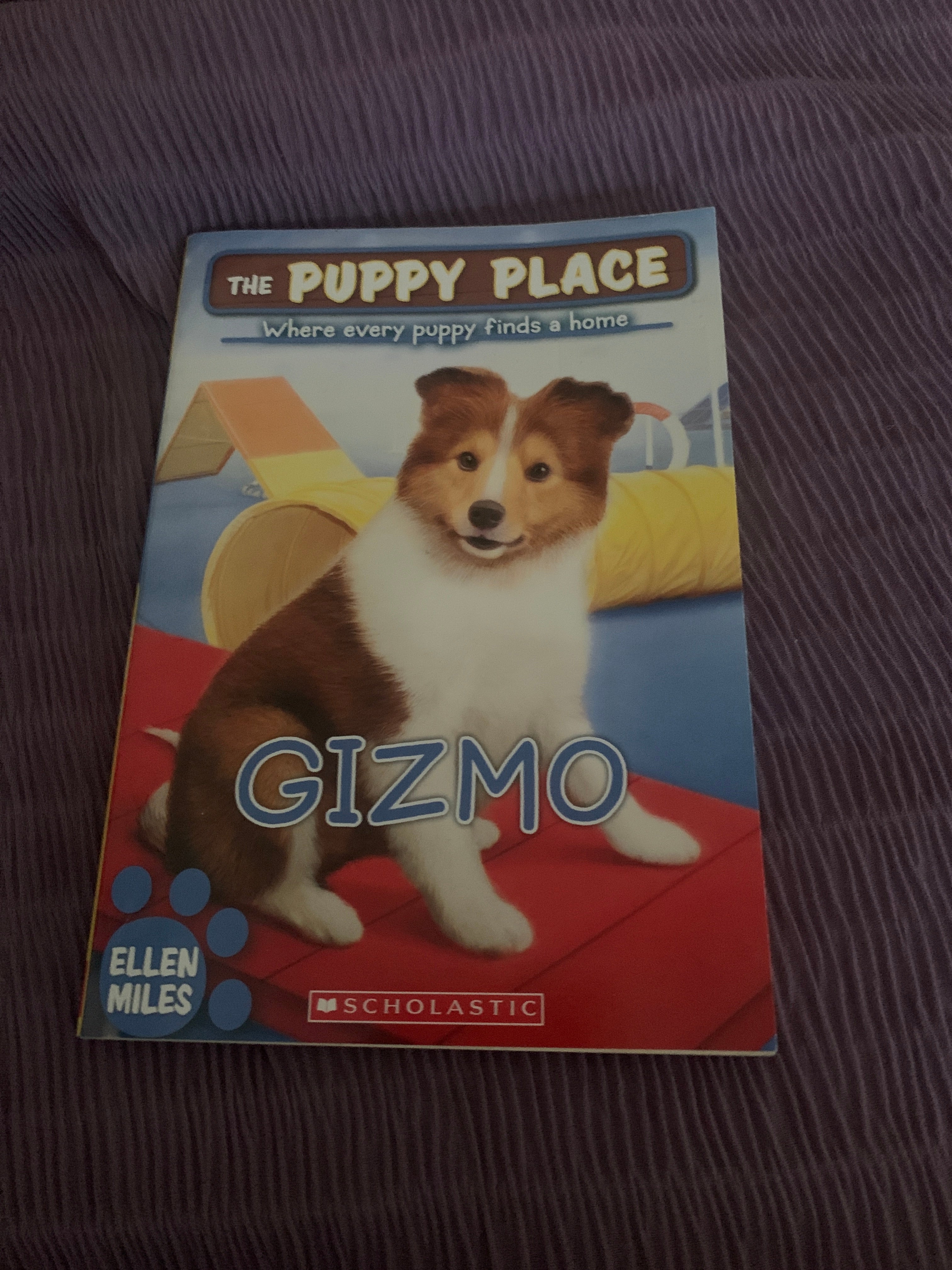 Gizmo