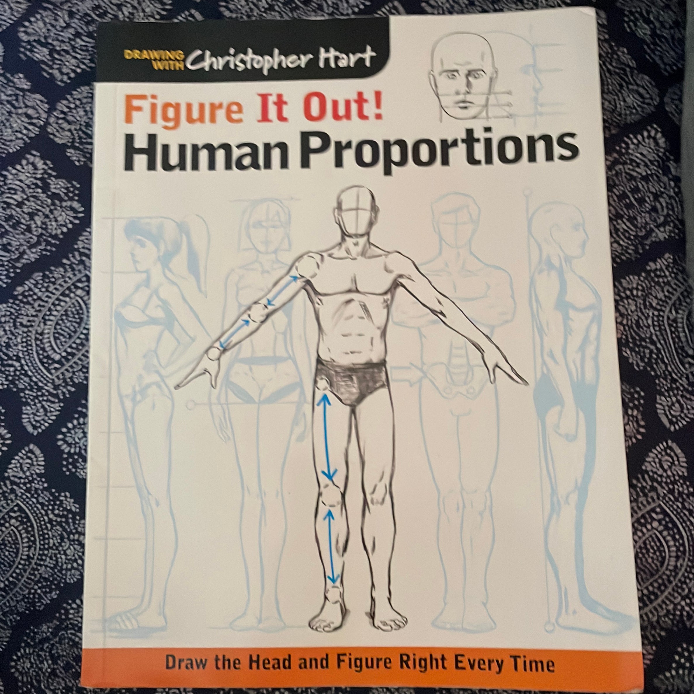 Figure It Out! Human Proportions