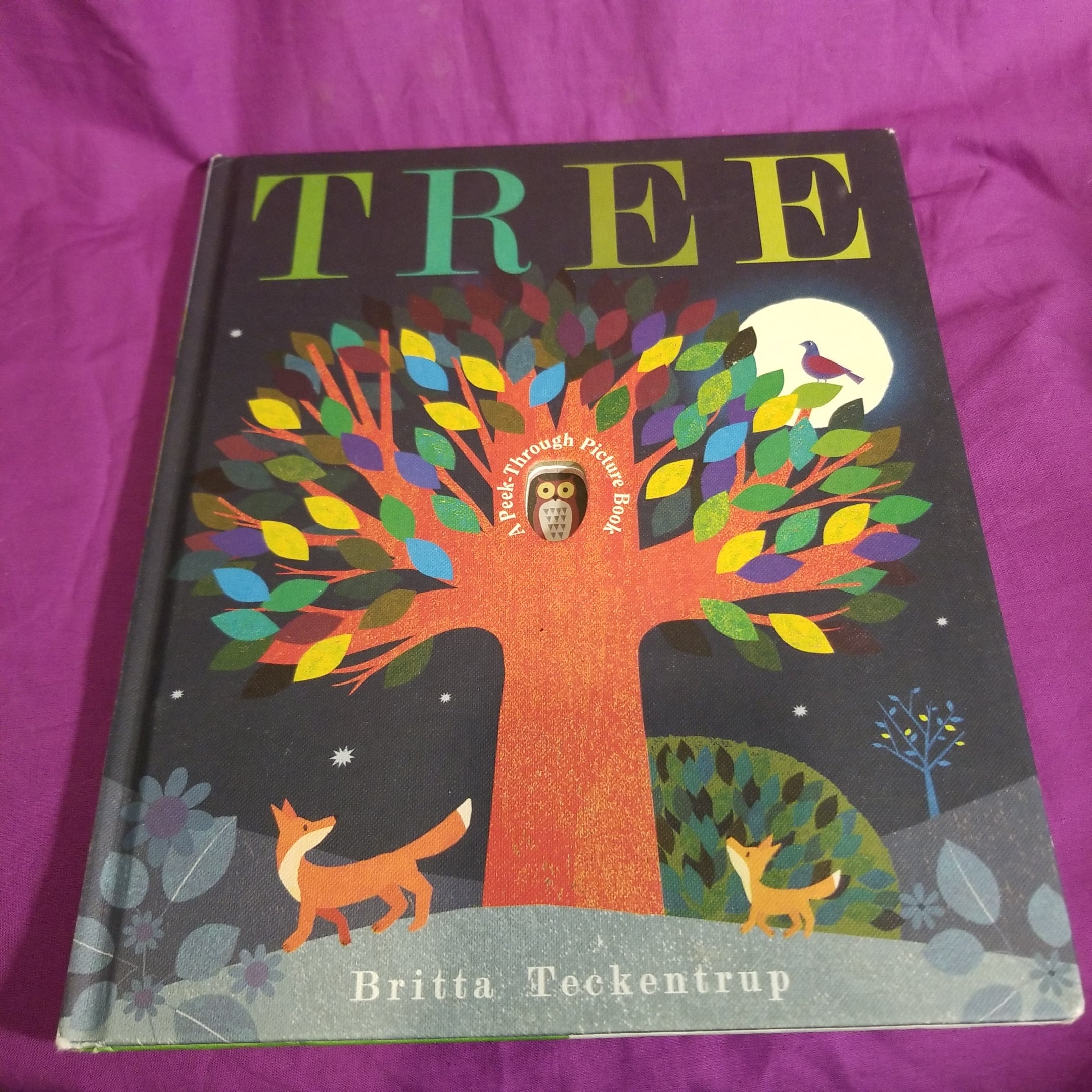 Tree: a Peek-Through Picture Book