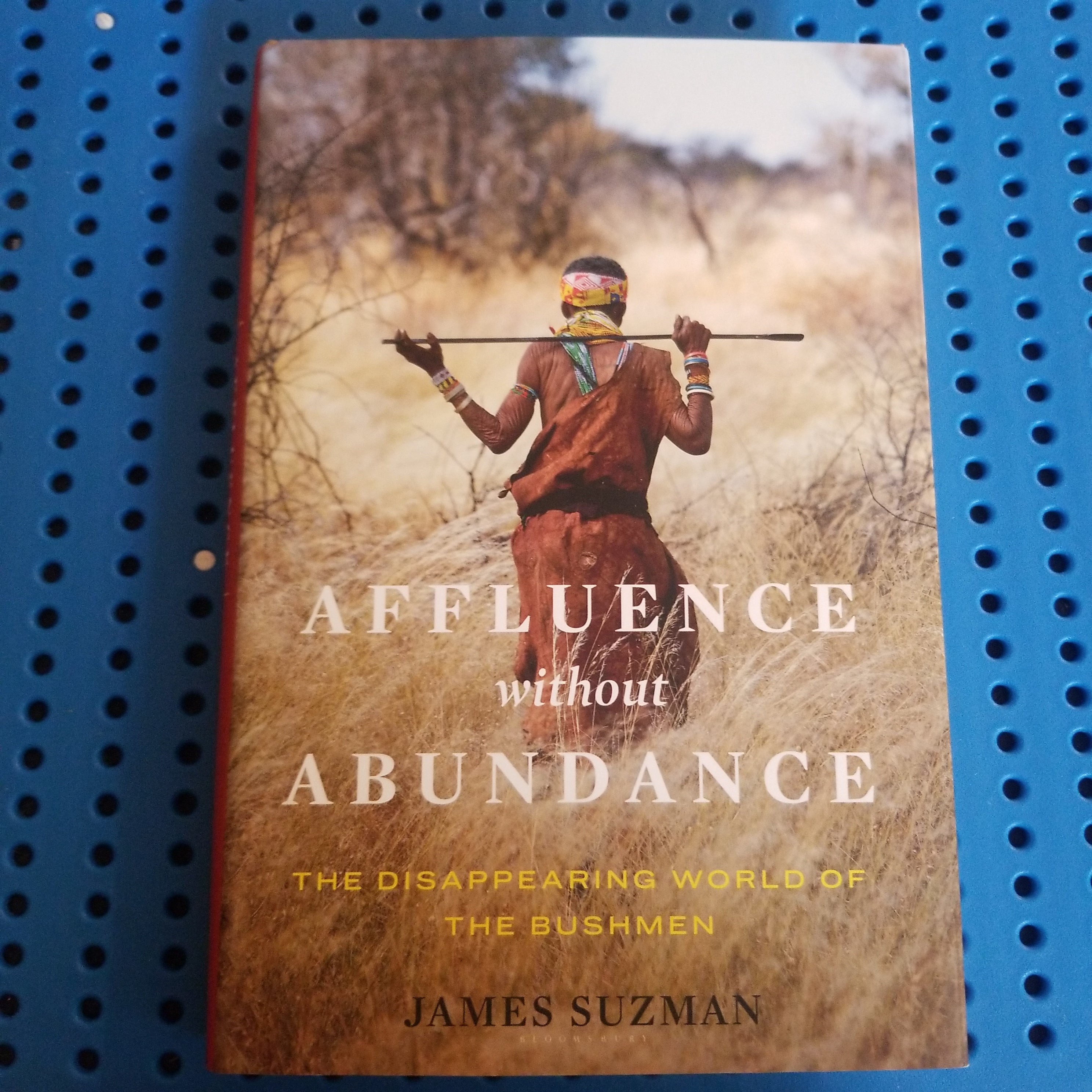 Affluence Without Abundance