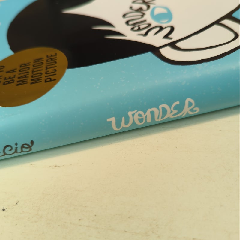 Wonder