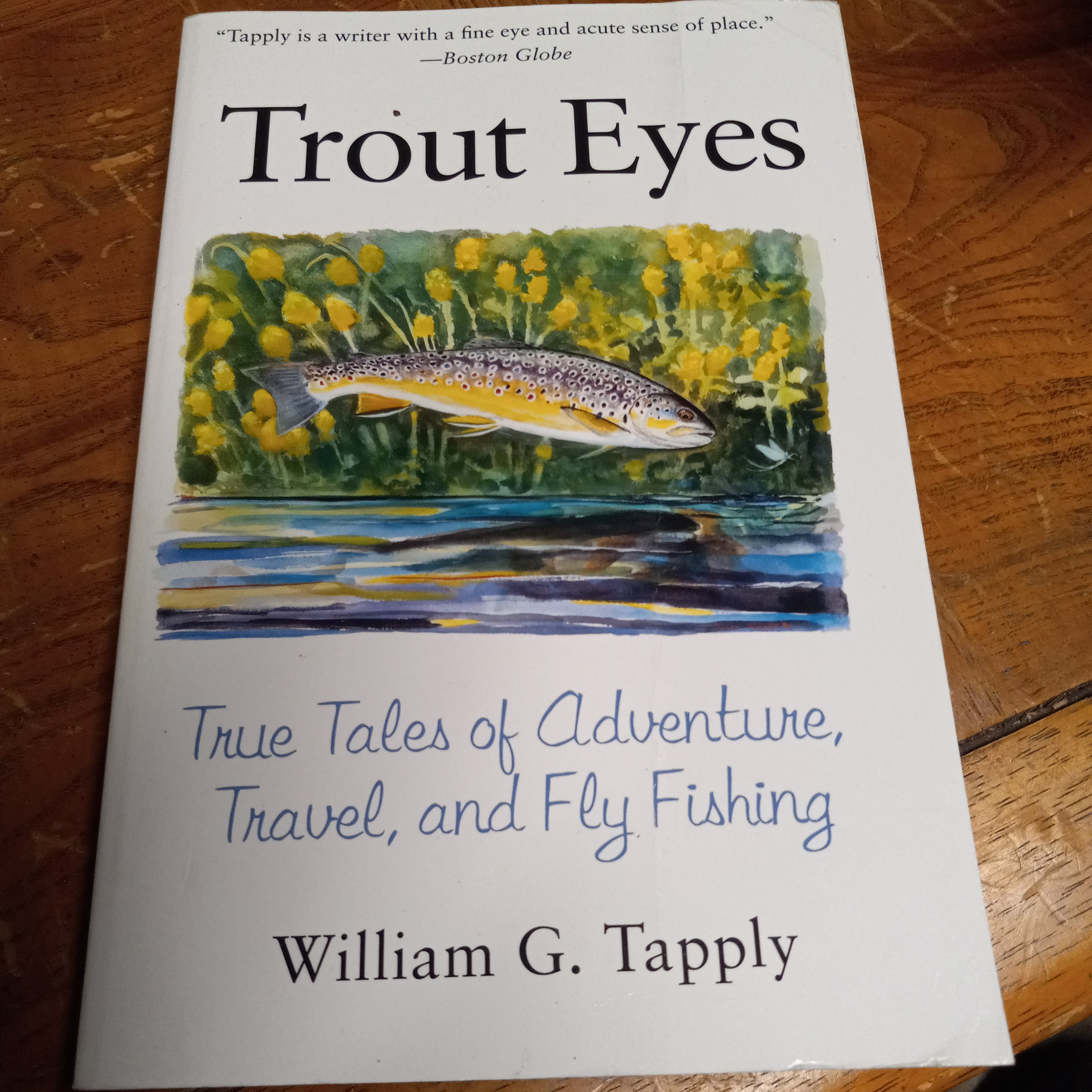 Trout Eyes