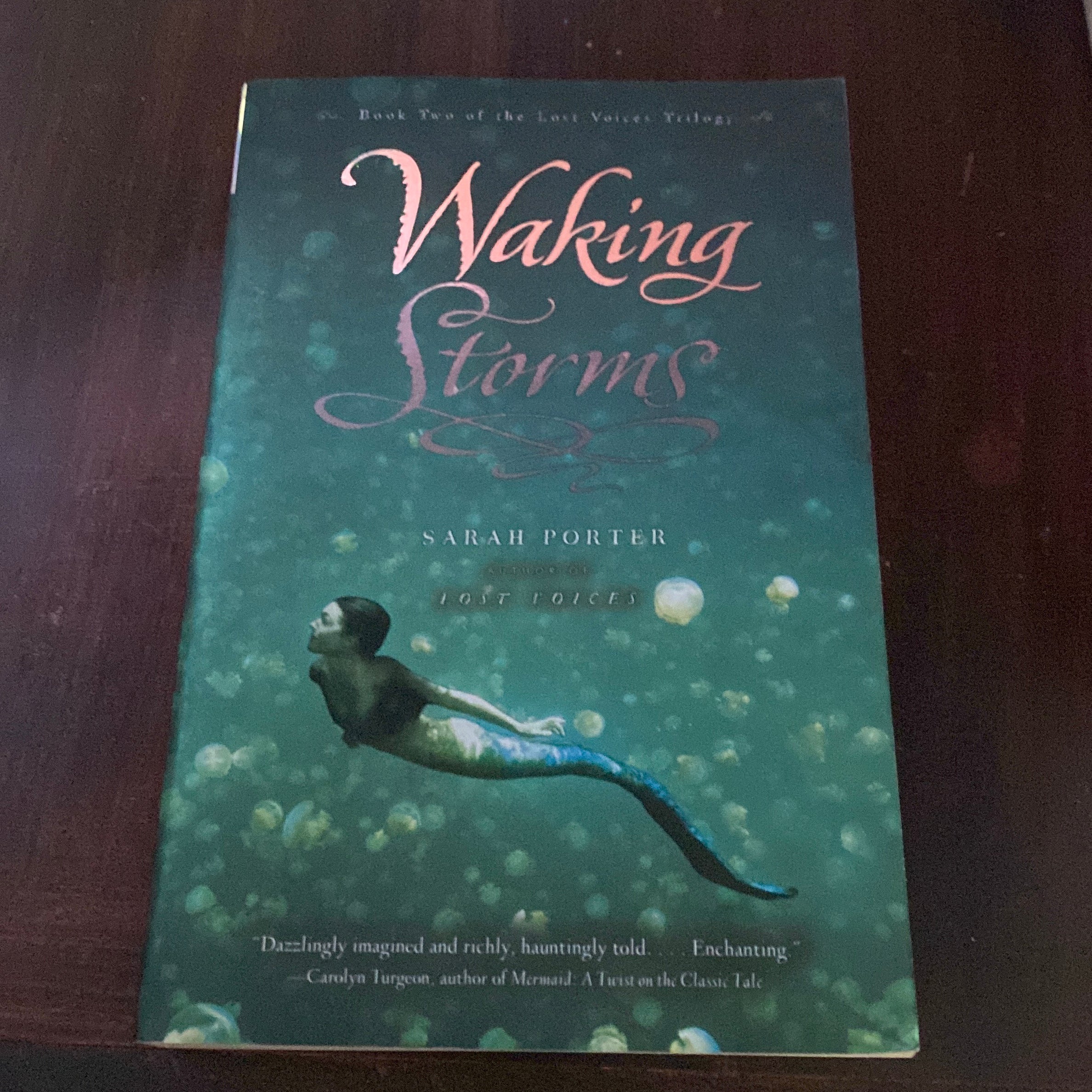 Waking Storms