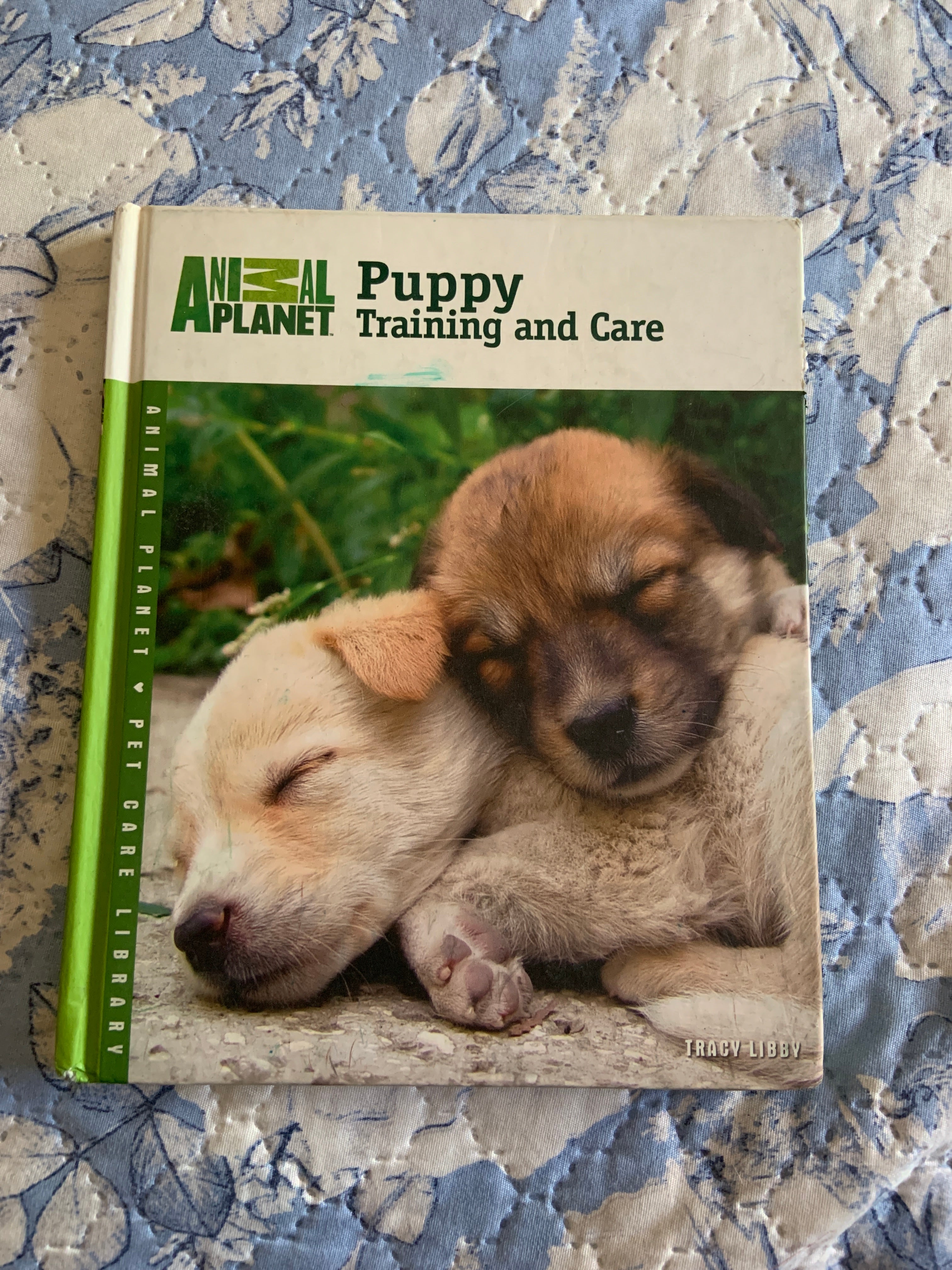 Puppy Training and Care