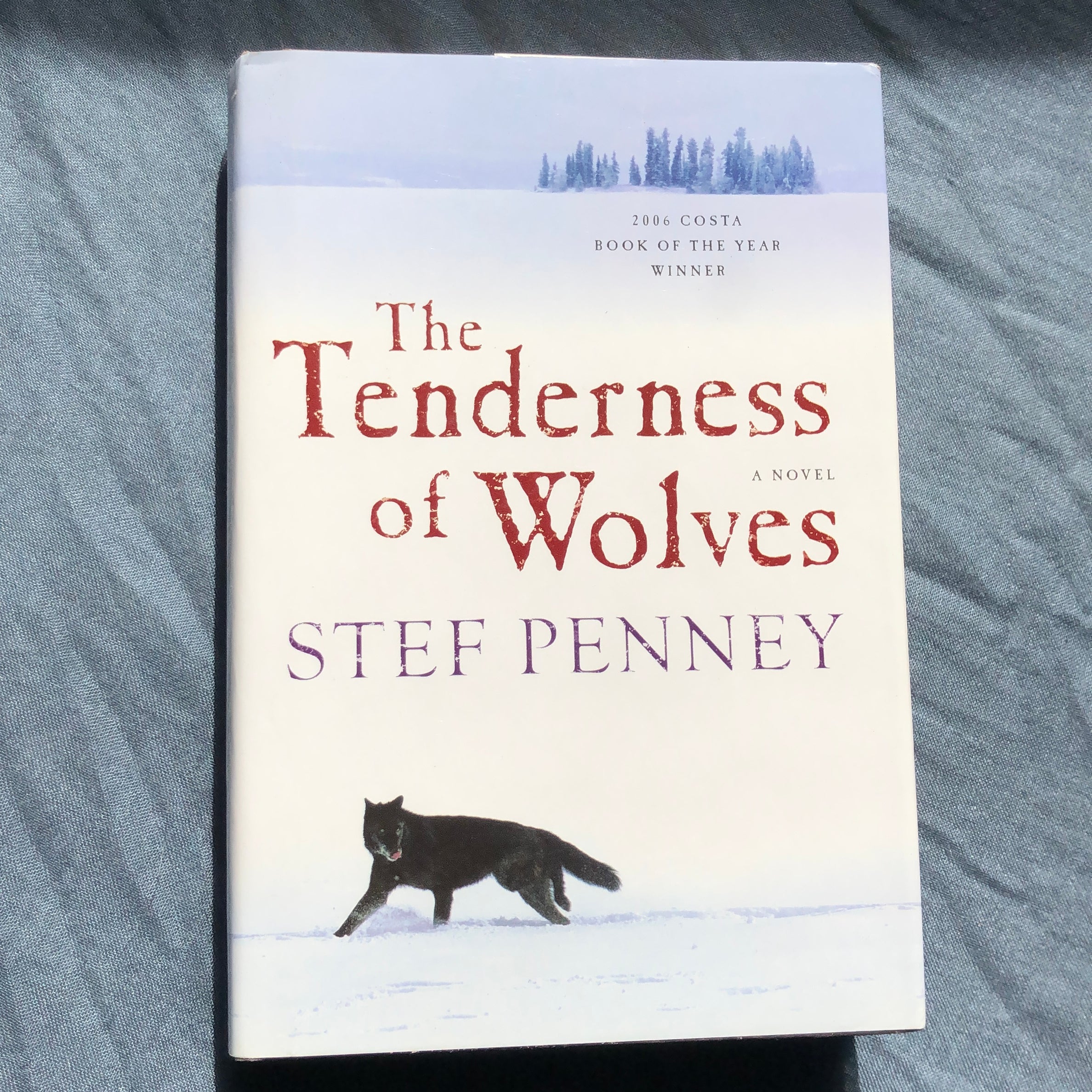 The Tenderness of Wolves