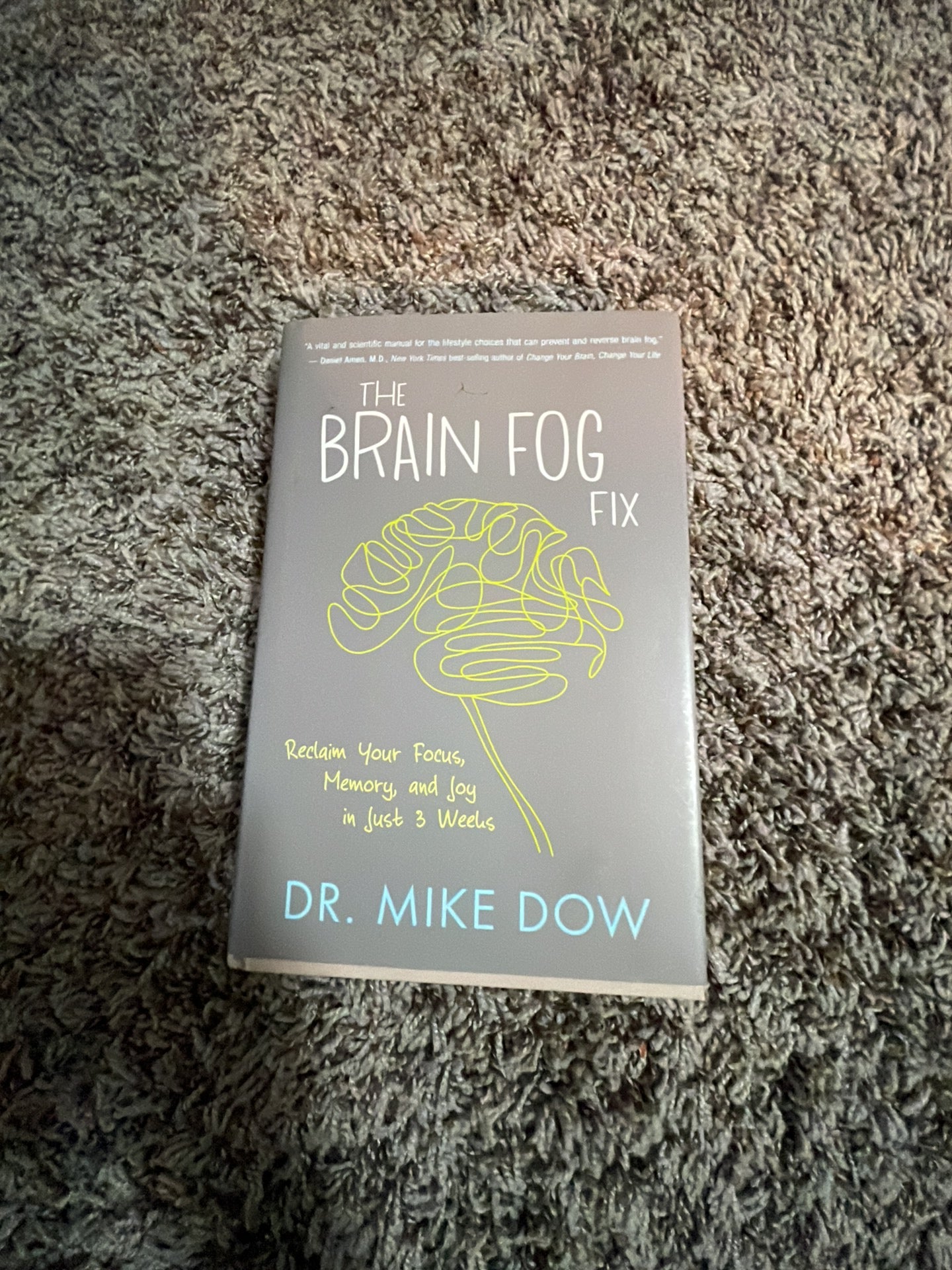 The Brain Fog Fix