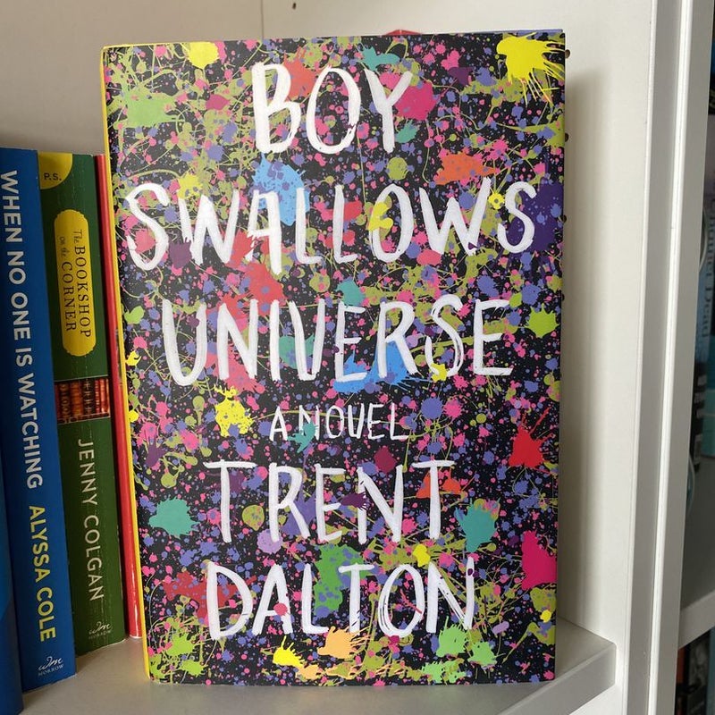 Boy Swallows Universe