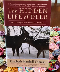 The Hidden Life of Deer