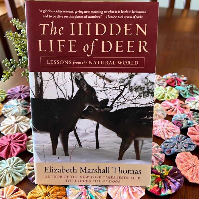 The Hidden Life of Deer