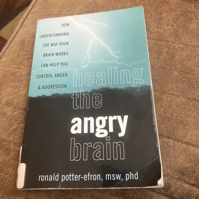 Healing the Angry Brain