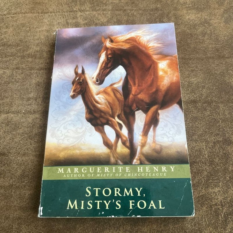 Stormy, Misty's Foal