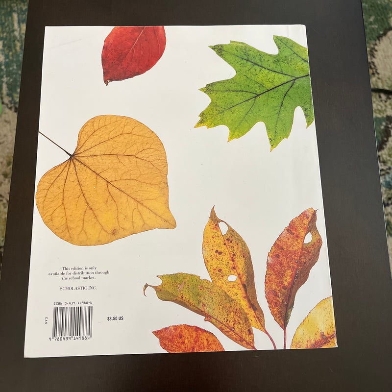 Autumn Leaves 