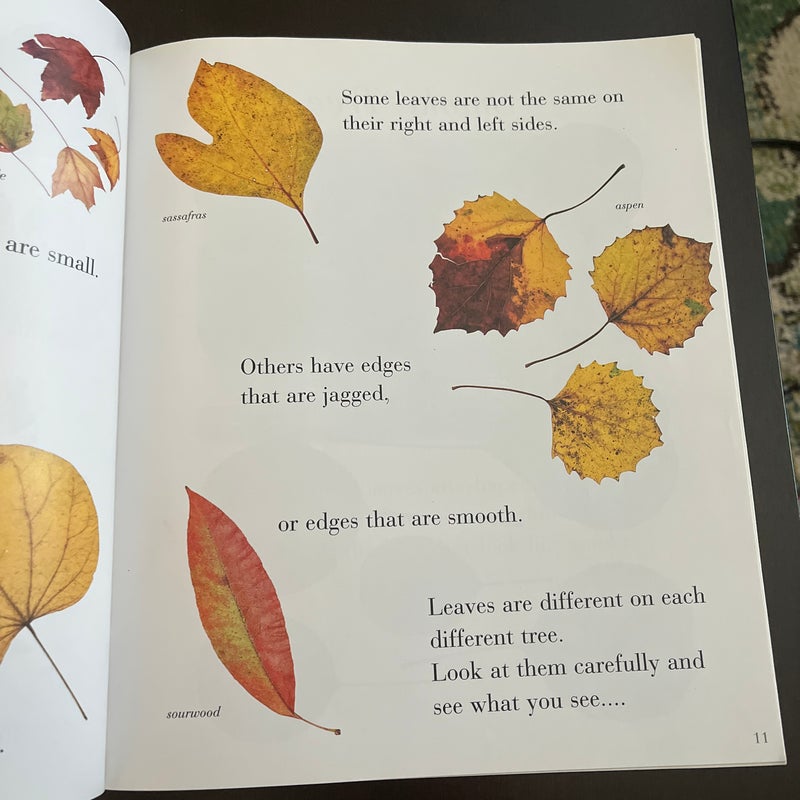 Autumn Leaves 