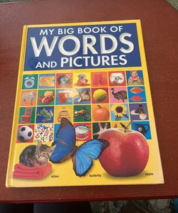 My big book of words and pictures 