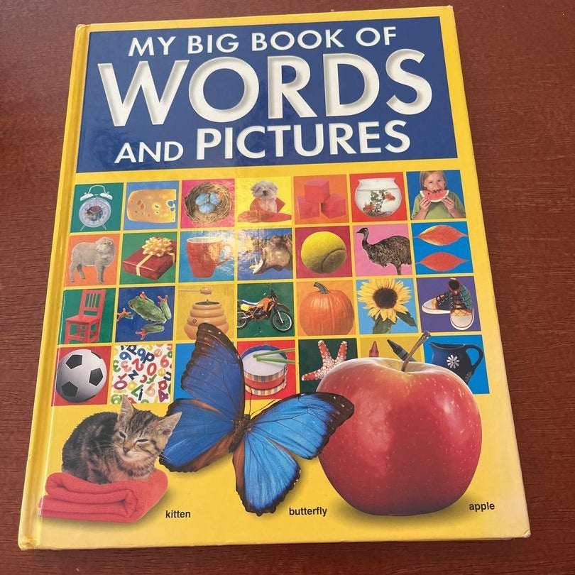 My big book of words and pictures by Hinkler Books , Paperback | Pangobooks
