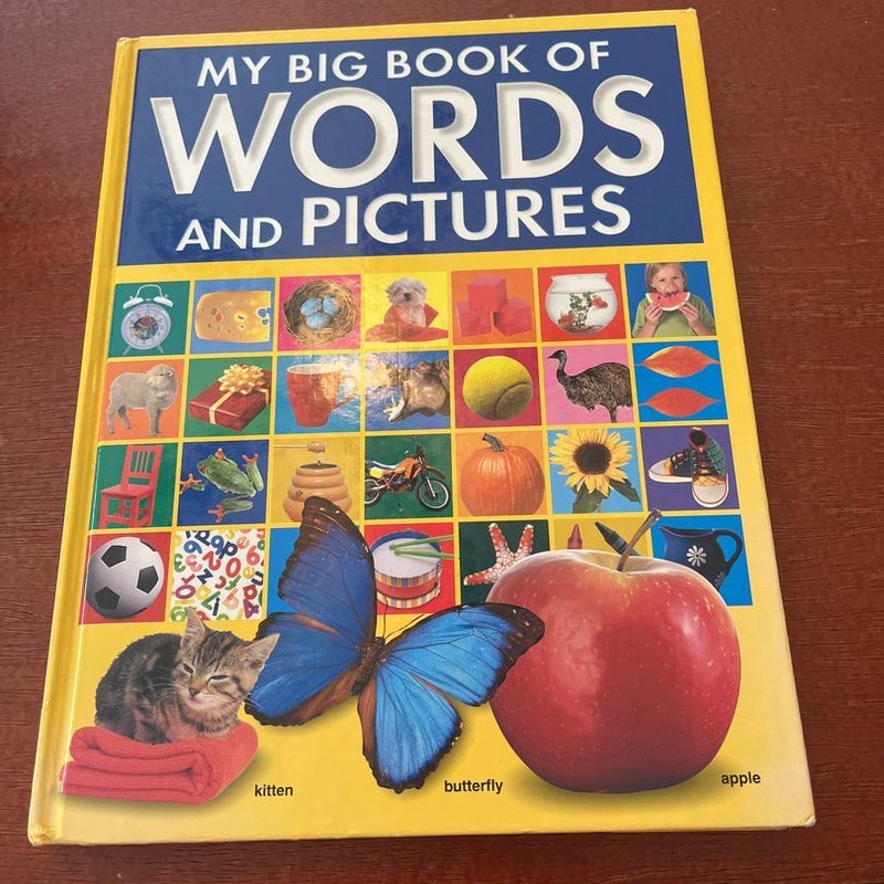 My big book of words and pictures 