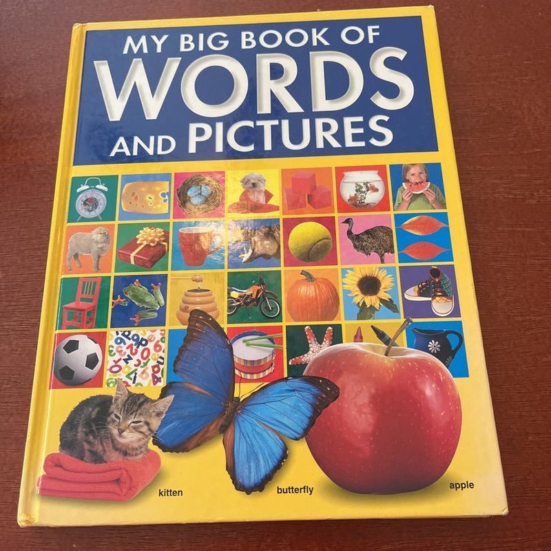 My big book of words and pictures by Hinkler Books My big book of words and pictures by Hinkler Books