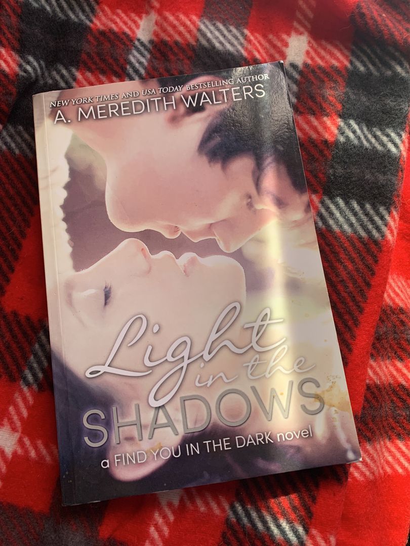 Light in the Shadows (a Find You in the Dark Novel)