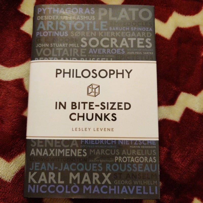 Philosophy in Bite-Sized Chunks