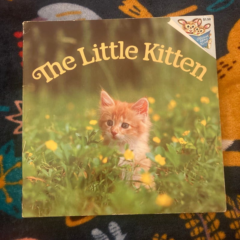 The Little Kitten