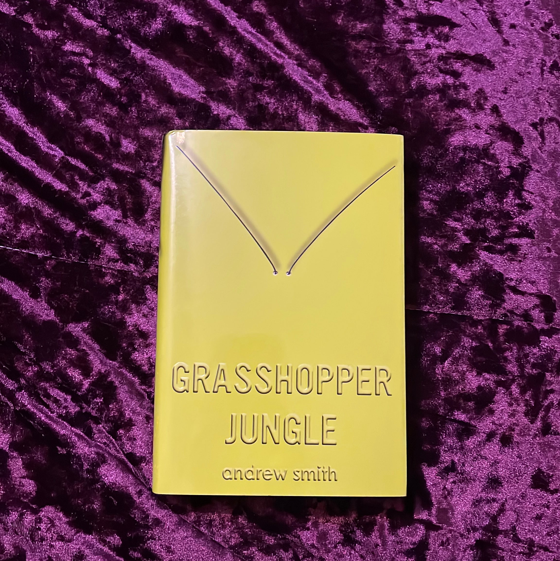 Grasshopper Jungle