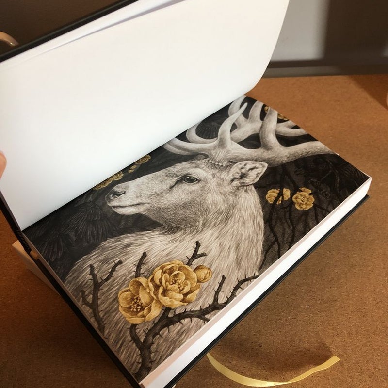 Shadow and Bone: the Collector's Edition