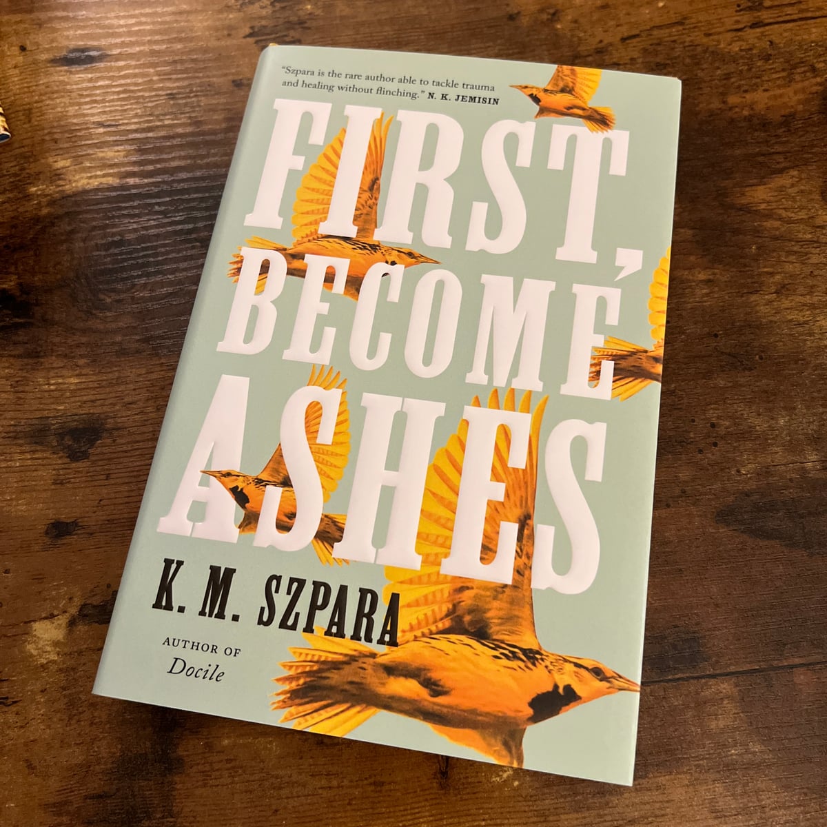First, Become Ashes by K. M. Szpara, Hardcover | Pangobooks