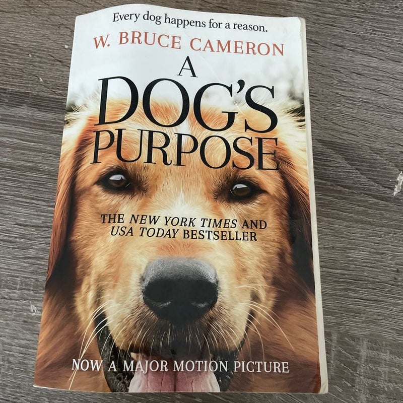 A Dogs Purpose