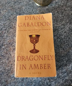 Dragonfly in Amber