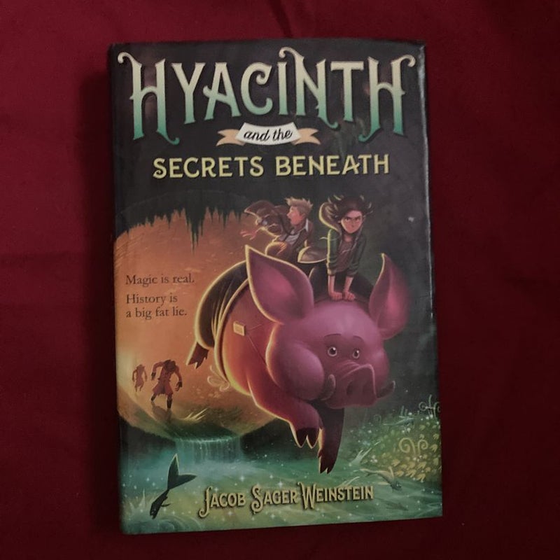 Hyacinth and the Secrets Beneath