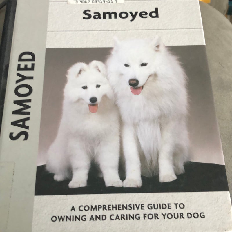 Samoyed