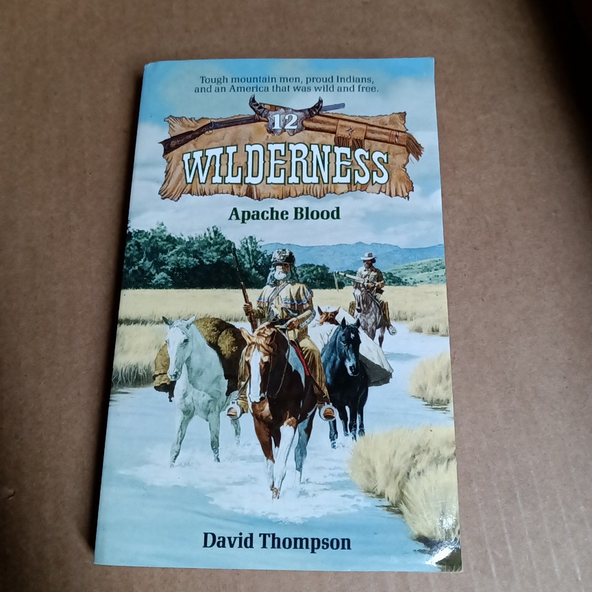 Apache Blood by David Thompson Pangobooks