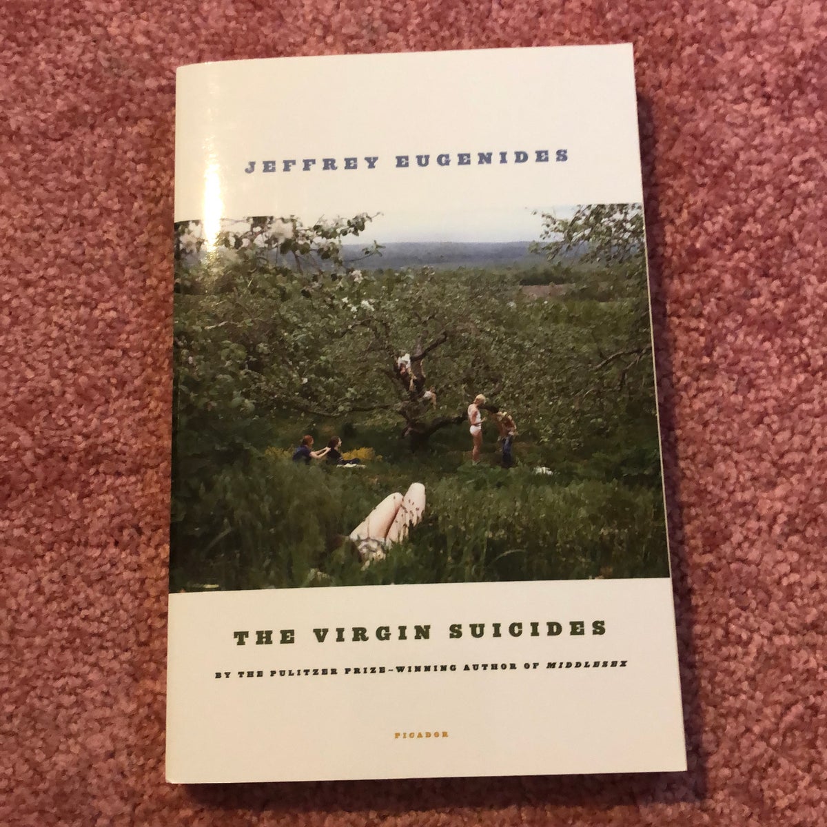 The Virgin Suicides by Jeffrey Eugenides, Paperback | Pangobooks