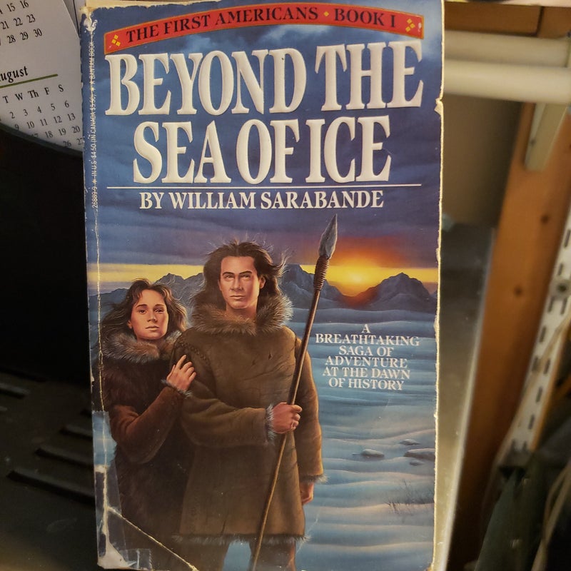 Beyond the Sea of Ice