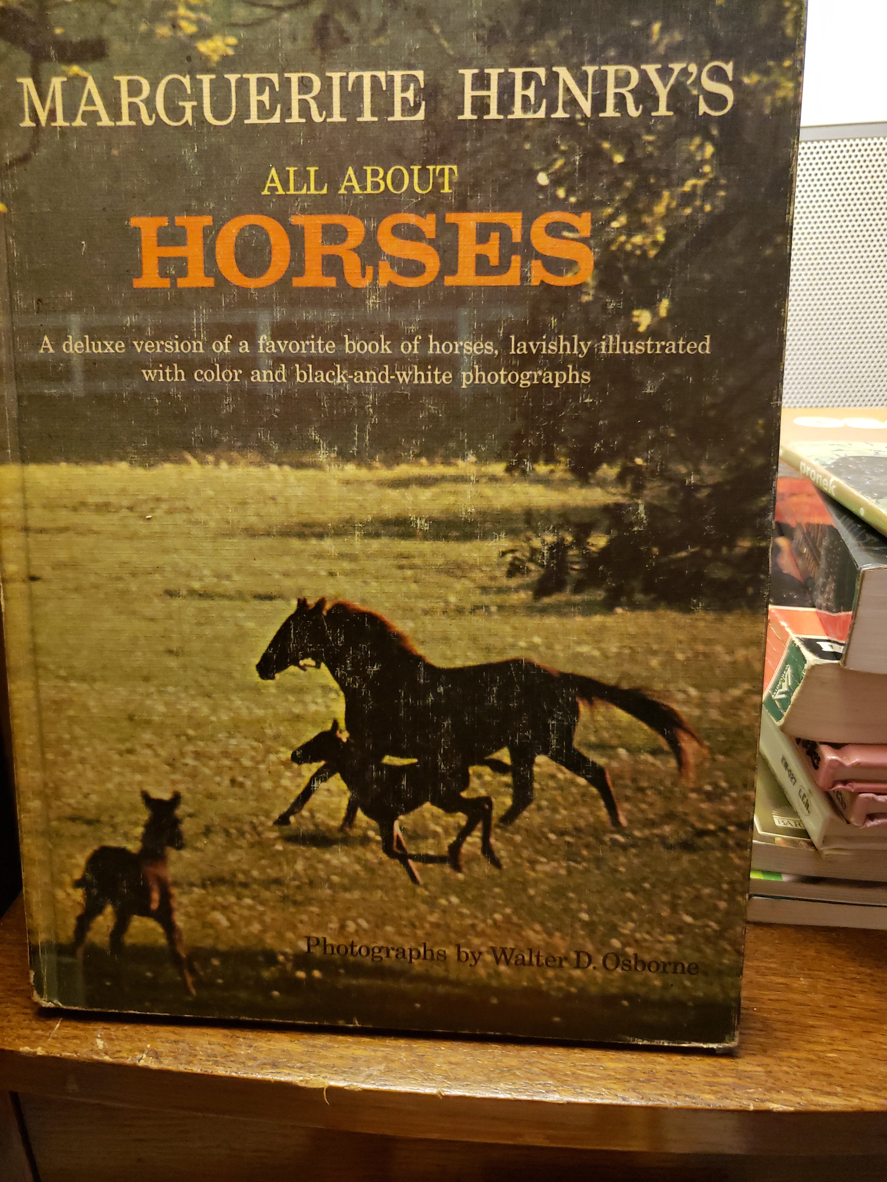 All about Horses
